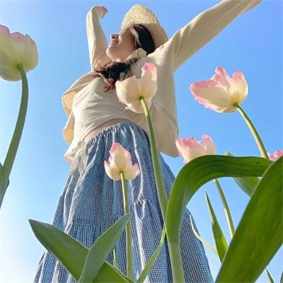 如果历史是一群喵宋辽金夏篇